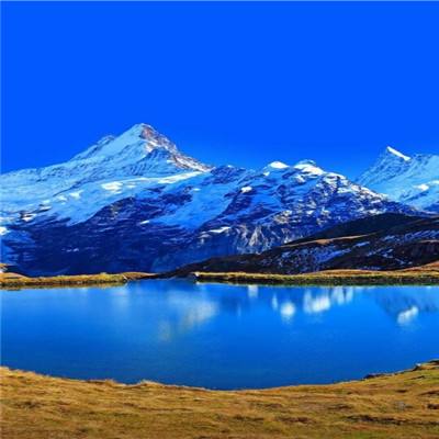 金会年彩票网止