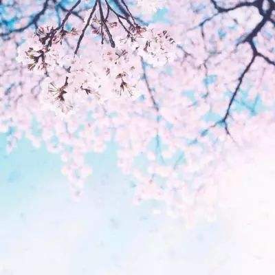 完美体育·app下载