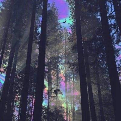 必一体育官方下载入口