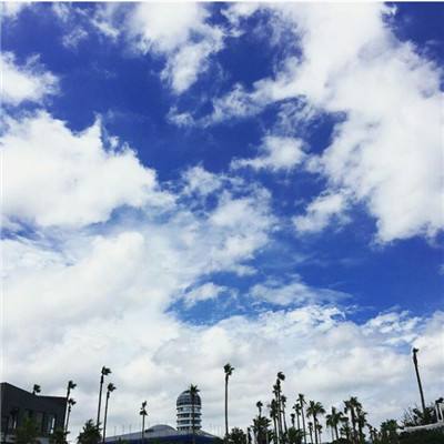 棋牌www官方网址入口