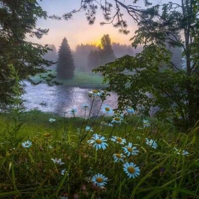 NG体育·(南宫)下载手机版